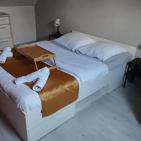 Grande Maison Avec Jardin 3* Brest